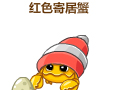 怪物星球红色寄居蟹