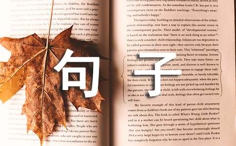 描绘魂灵的语句