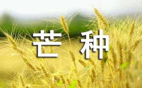 描绘芒种的美丽语句