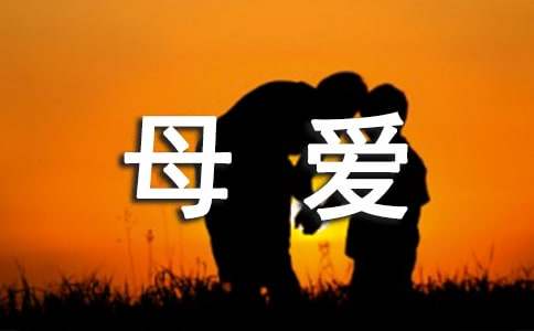 母爱的唯美语句380句