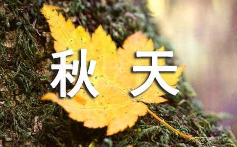 秋天唯美语句270句