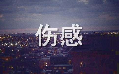 有用的唯美伤感的语句集锦56句