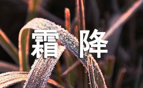 霜降的唯美语句