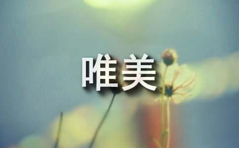 【抢手】唯美语句汇总50条