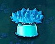 冰镇蘑菇